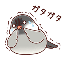 Java sparrow animated sticker #14374582