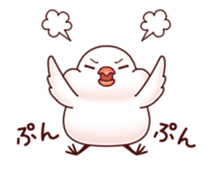 Java sparrow animated sticker #14374585