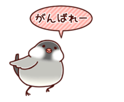 Java sparrow animated sticker #14374586