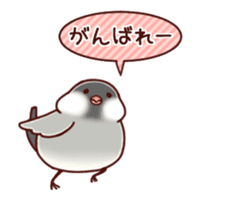 Java sparrow animated sticker #14374586