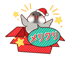 Java sparrow animated sticker #14374588