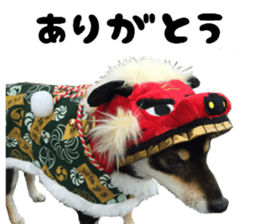 Cute dog of Nishimu and Ami and Yukina sticker #14374652