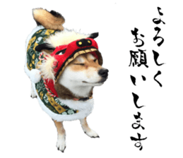 Cute dog of Nishimu and Ami and Yukina sticker #14374654