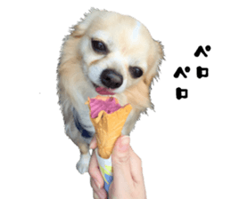 Cute dog of Nishimu and Ami and Yukina sticker #14374656
