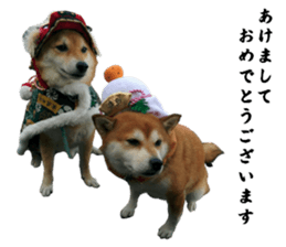 Cute dog of Nishimu and Ami and Yukina sticker #14374684
