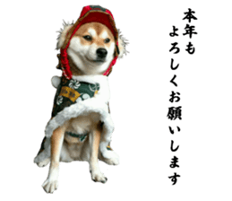 Cute dog of Nishimu and Ami and Yukina sticker #14374685
