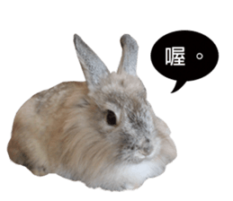 Three fat rabbits sticker #14375003