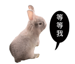 Three fat rabbits sticker #14375005