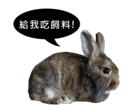Three fat rabbits sticker #14375006