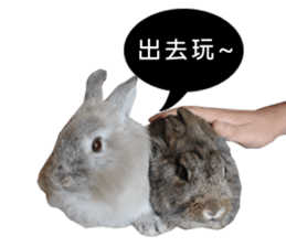 Three fat rabbits sticker #14375007