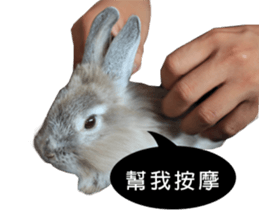 Three fat rabbits sticker #14375010