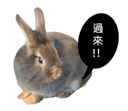 Three fat rabbits sticker #14375011