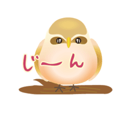 Colorful Lucky Birds sticker #14375063