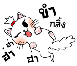 Nina cat sticker #14375097