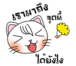 Nina cat sticker #14375121