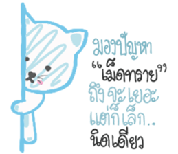 CAT KIT DEE sticker #14376030