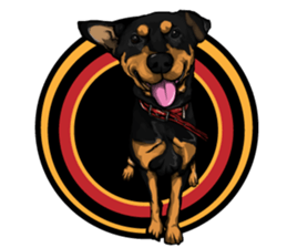 XiuBoxON.4 sticker #14376222