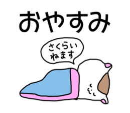 Name sticker Sakurai can be used sticker #14378931