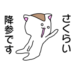 Name sticker Sakurai can be used sticker #14378935