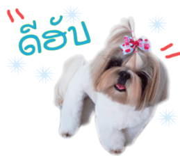 honey dog sticker #14380126