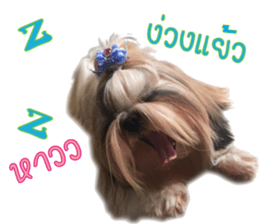 honey dog sticker #14380128