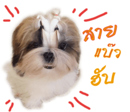 honey dog sticker #14380129
