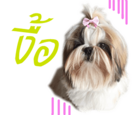 honey dog sticker #14380131