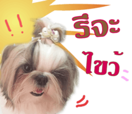 honey dog sticker #14380132
