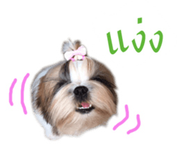 honey dog sticker #14380133