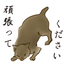 UKIYOE Cats <Respect language ver.> sticker #14381440