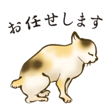 UKIYOE Cats <Respect language ver.> sticker #14381456