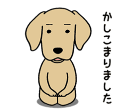 GOLDEN DOG 4(Polite expression version) sticker #14381782