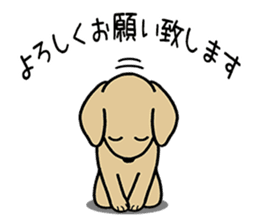 GOLDEN DOG 4(Polite expression version) sticker #14381787