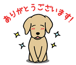 GOLDEN DOG 4(Polite expression version) sticker #14381790