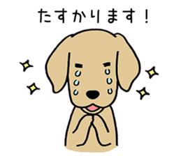 GOLDEN DOG 4(Polite expression version) sticker #14381791