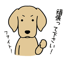GOLDEN DOG 4(Polite expression version) sticker #14381793