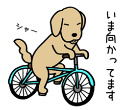 GOLDEN DOG 4(Polite expression version) sticker #14381796