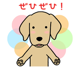 GOLDEN DOG 4(Polite expression version) sticker #14381801