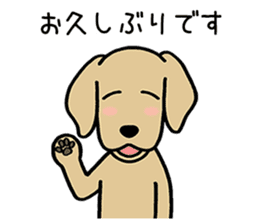 GOLDEN DOG 4(Polite expression version) sticker #14381806