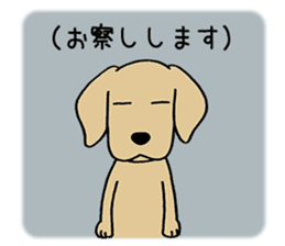 GOLDEN DOG 4(Polite expression version) sticker #14381810