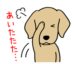GOLDEN DOG 4(Polite expression version) sticker #14381814