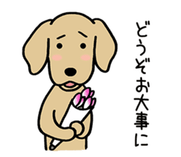 GOLDEN DOG 4(Polite expression version) sticker #14381818
