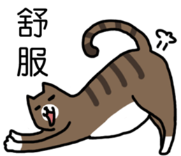 cat my friend sticker #14381995