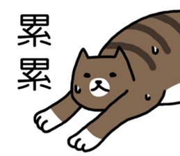 cat my friend sticker #14382007