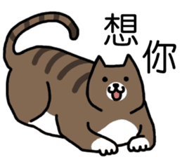 cat my friend sticker #14382010