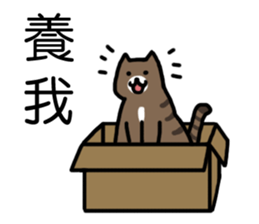 cat my friend sticker #14382016