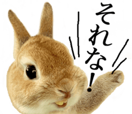 Mr MOQ the Rabbit sticker #14382070