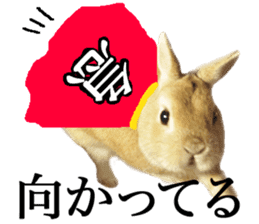 Mr MOQ the Rabbit sticker #14382071
