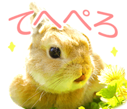Mr MOQ the Rabbit sticker #14382073