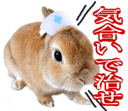 Mr MOQ the Rabbit sticker #14382075